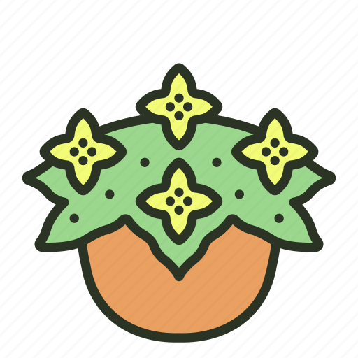Garden, plant, nature, flower, begonia icon - Download on Iconfinder