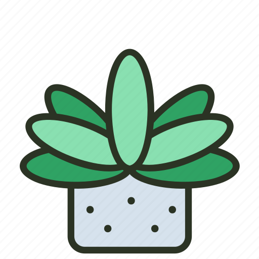 Green, succulent, leaf, garden, indoor, plant icon - Download on Iconfinder
