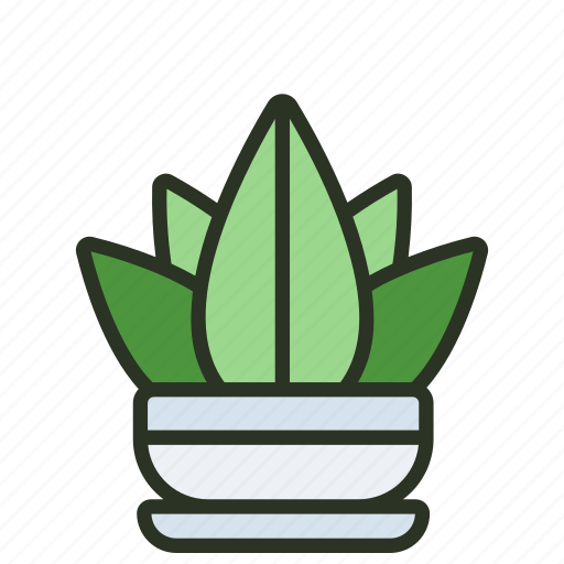 Green, succulent, leaf, indoor, plant, garden icon - Download on Iconfinder