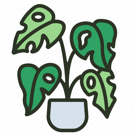 Leaf, green, plant, garden, indoor icon - Download on Iconfinder