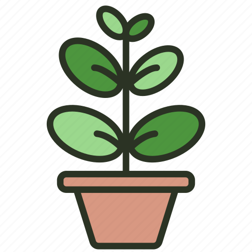 Leaf, houseplant, ficus, garden, indoor, plant icon - Download on Iconfinder