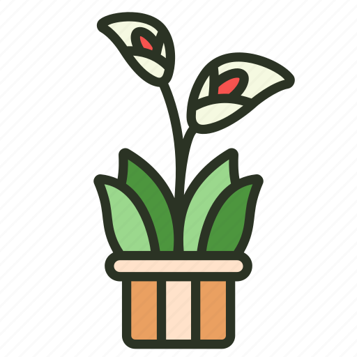 Lily, flower, calla, beautiful, indoor, plant icon - Download on Iconfinder