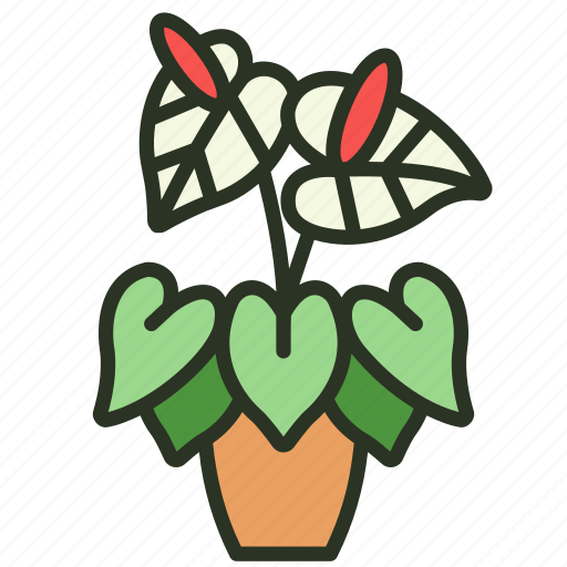 Nature, anthurium, decoration, flower, indoor, plant icon - Download on Iconfinder