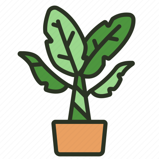 Palm, nature, leafbanana, indoor, plant icon - Download on Iconfinder