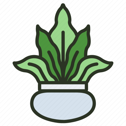 Plant, leaf, nature, fern, indoor icon - Download on Iconfinder