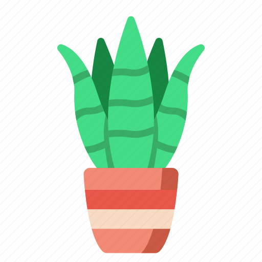 Green, sansevieria, leaf, plant, indoor icon - Download on Iconfinder