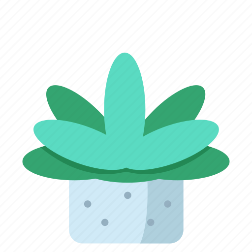 Green, succulent, leaf, garden, indoor, plant icon - Download on Iconfinder