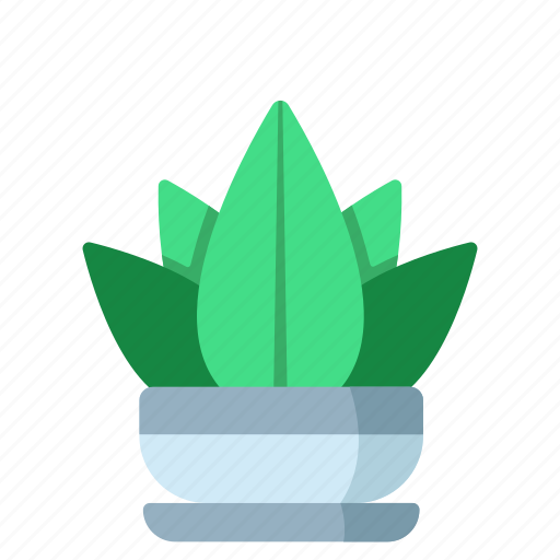 Green, succulent, leaf, indoor, plant, garden icon - Download on Iconfinder