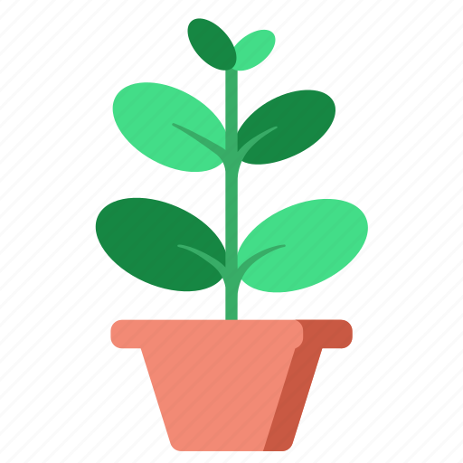 Leaf, houseplant, ficus, garden, indoor, plant icon - Download on Iconfinder