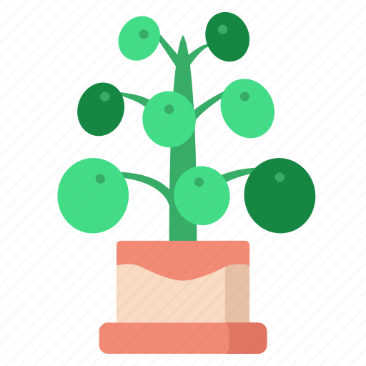 Pilea, peperomioidesnature, green, leaves, indoor, plant icon - Download on Iconfinder