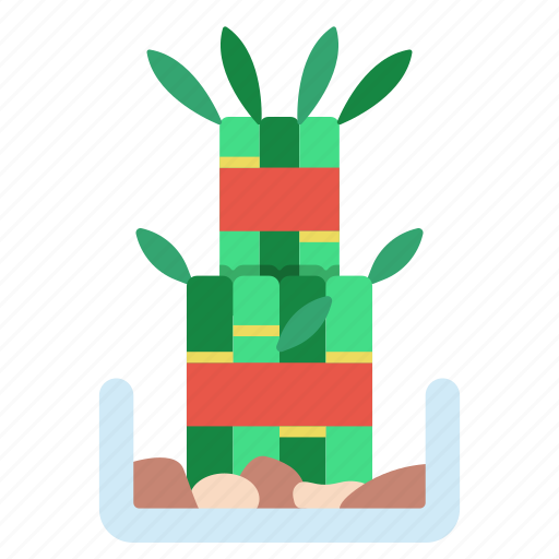 Plant, bamboo, lucky, growth, indoor icon - Download on Iconfinder