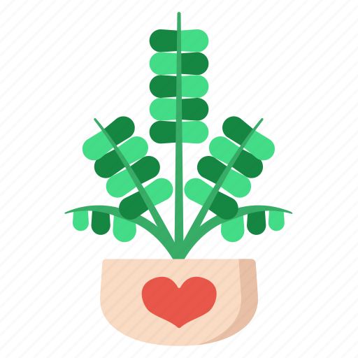 Plant, green, leaf, fern, indoor icon - Download on Iconfinder