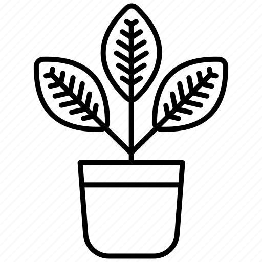 Croton icon - Download on Iconfinder on Iconfinder