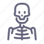 skeleton, x, ray, xray 