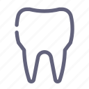 tooth, dental