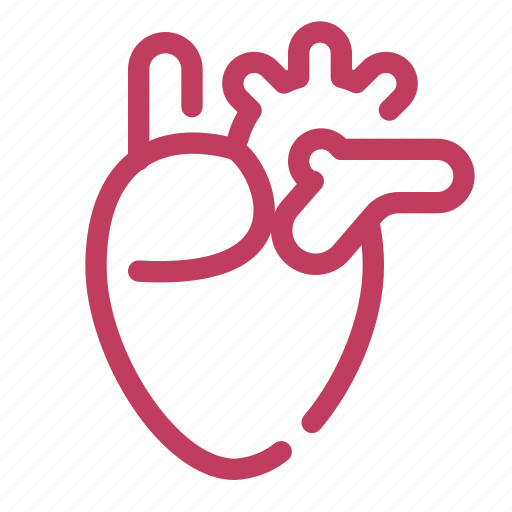 Heart, organ, anatomy icon - Download on Iconfinder