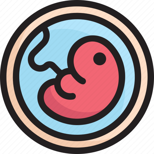 Clinic, embryo, fetus, health, hospital, infirmary, medical icon - Download on Iconfinder