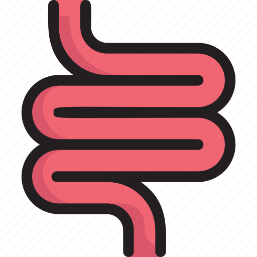 Clinic, colon, health, hospital, infirmary, intestines, medical icon - Download on Iconfinder