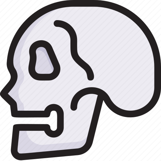 Clinic, health, hospital, infirmary, medical, skeleton, skull anatomy icon - Download on Iconfinder