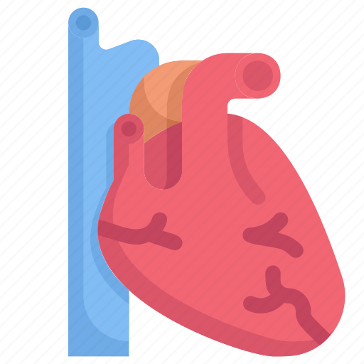 Clinic, health, heart, hospital, infirmary, liver, medical icon - Download on Iconfinder