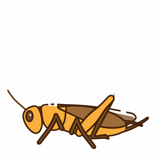Bug, cricket, insect icon - Download on Iconfinder