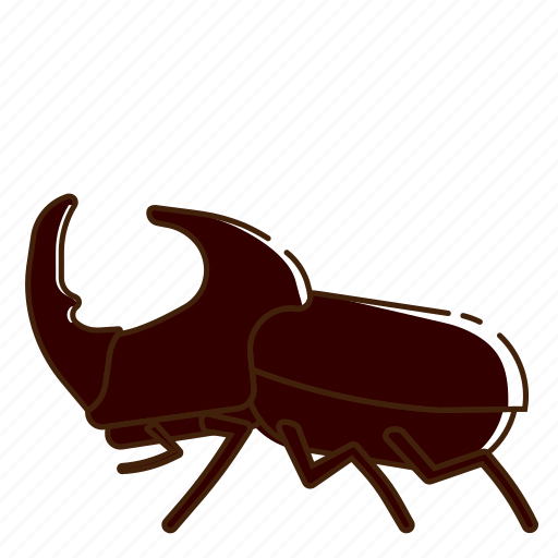 Beetle, bug, coleoptera, insect, rhinoceros beetle icon - Download on Iconfinder