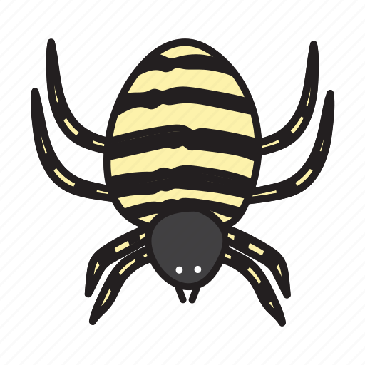 Spider, insect, bug, nature, animal, plant icon - Download on Iconfinder