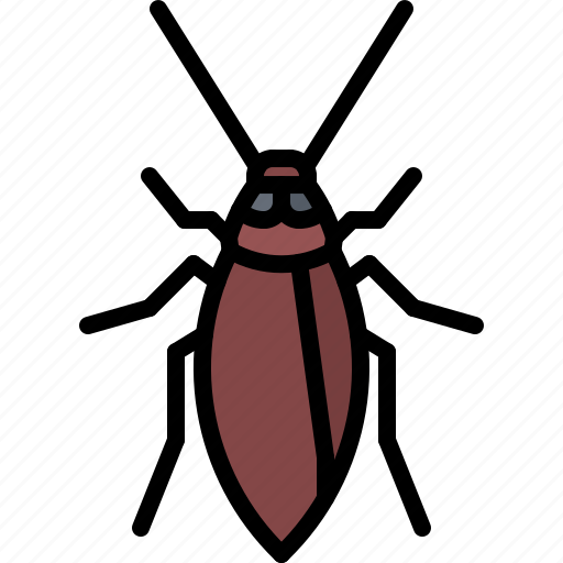 Beetle, bug, insect, animal, nature, cockroach icon - Download on Iconfinder