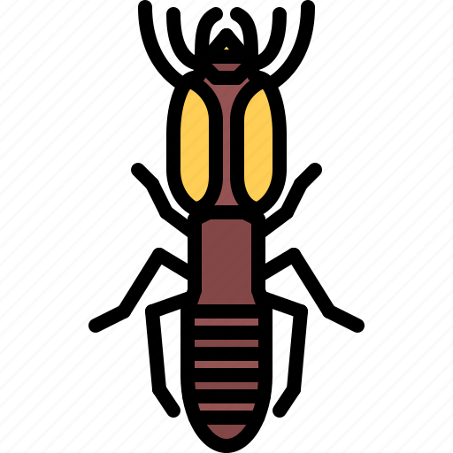 Beetle, bug, insect, animal, nature, termite icon - Download on Iconfinder