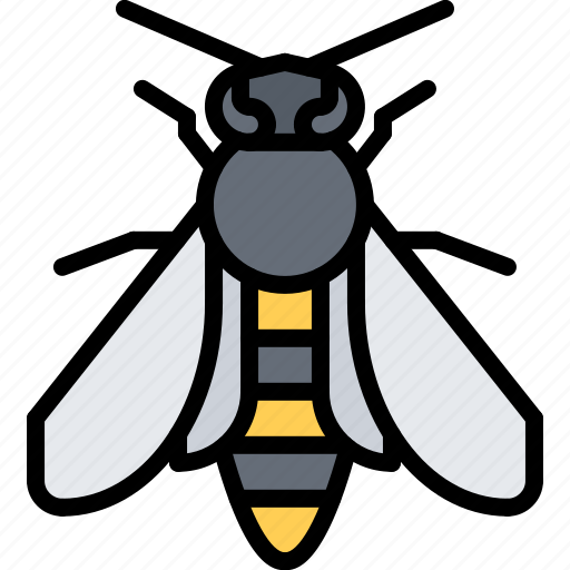 Beetle, bug, insect, animal, nature, bee icon - Download on Iconfinder