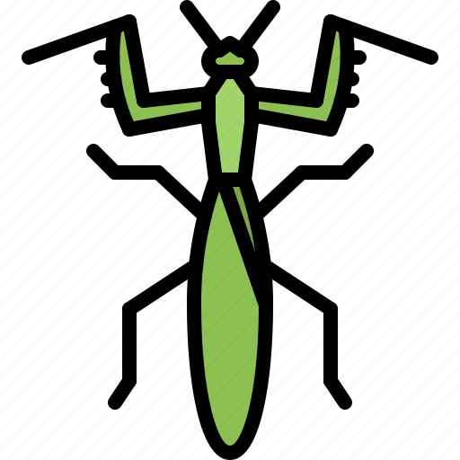 Beetle, bug, insect, animal, nature, mantis icon - Download on Iconfinder