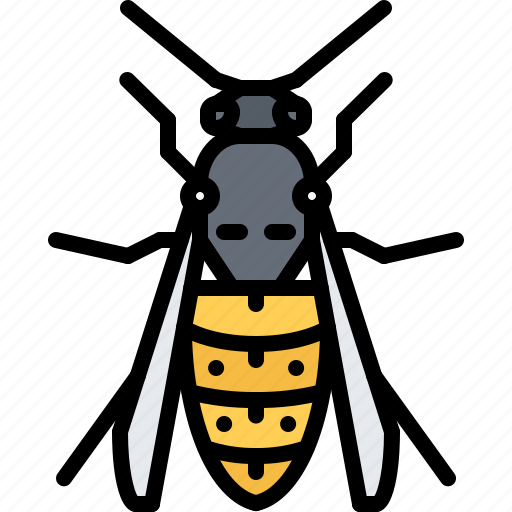 Beetle, bug, insect, animal, nature, wasp icon - Download on Iconfinder