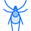 beetle, bug, insect, animal, nature, mite 