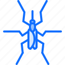 beetle, bug, insect, animal, nature, mosquito