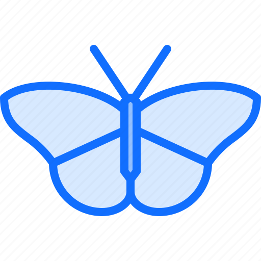Beetle, bug, insect, animal, nature, butterfly icon - Download on Iconfinder