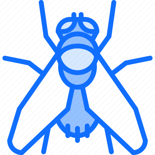 Beetle, bug, insect, animal, nature, fly icon - Download on Iconfinder