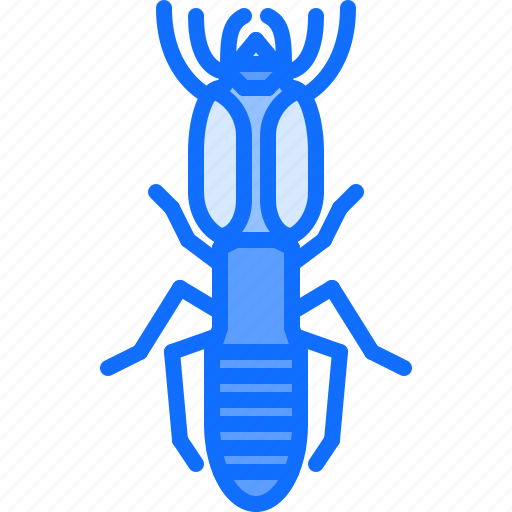 Beetle, bug, insect, animal, nature, termite icon - Download on Iconfinder