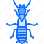 beetle, bug, insect, animal, nature, termite 