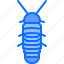 beetle, bug, insect, animal, nature, cockroach 