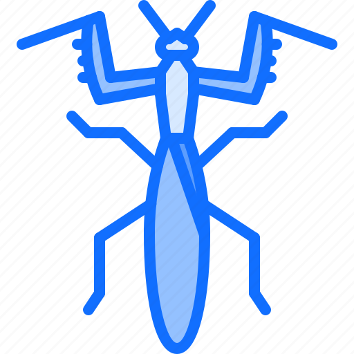 Beetle, bug, insect, animal, nature, mantis icon - Download on Iconfinder