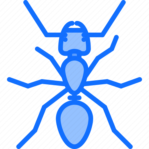 Beetle, bug, insect, animal, nature, ant icon - Download on Iconfinder