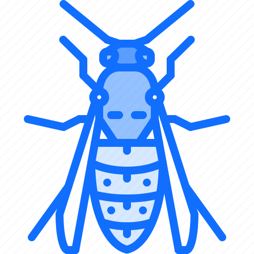 Beetle, bug, insect, animal, nature, wasp icon - Download on Iconfinder