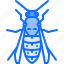 beetle, bug, insect, animal, nature, wasp 