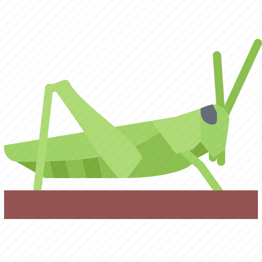 Beetle, bug, insect, animal, nature, locust icon - Download on Iconfinder