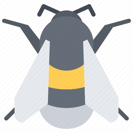 Beetle, bug, insect, animal, nature, bumblebee icon - Download on Iconfinder