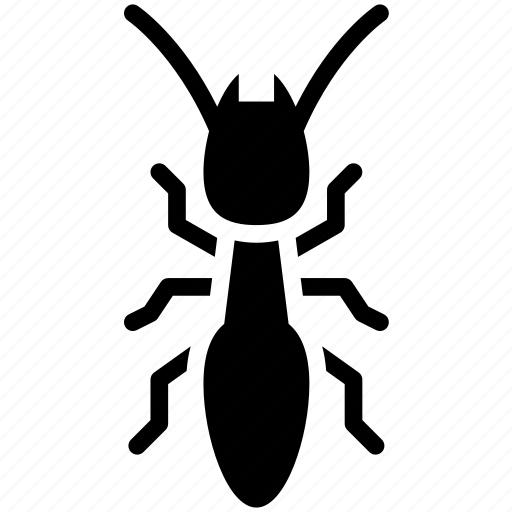 Ant, household, pest, termite, insect icon - Download on Iconfinder