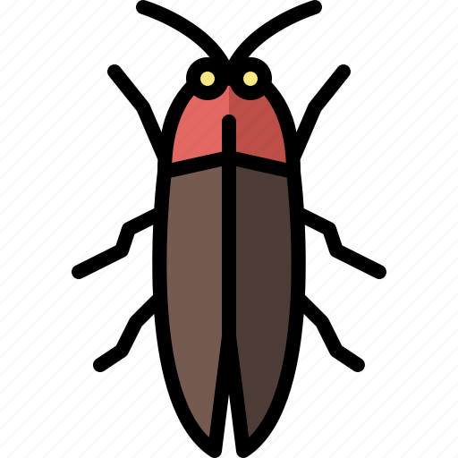Animal, bug, firefly, garden, insect, nature, spring icon - Download on Iconfinder