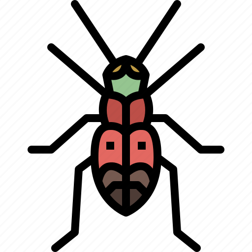 Animal, bug, garden, insect, nature, spring, tiger beetle icon - Download on Iconfinder