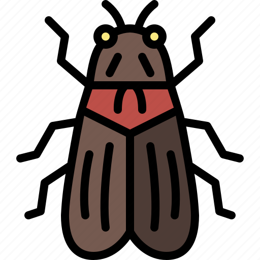 Animal, bug, cicada, garden, insect, nature, spring icon - Download on Iconfinder