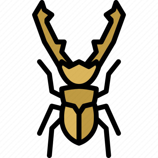 Animal, bug, cyclommatus stag, garden, insect, nature, spring icon - Download on Iconfinder